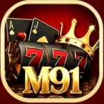 M91 Game